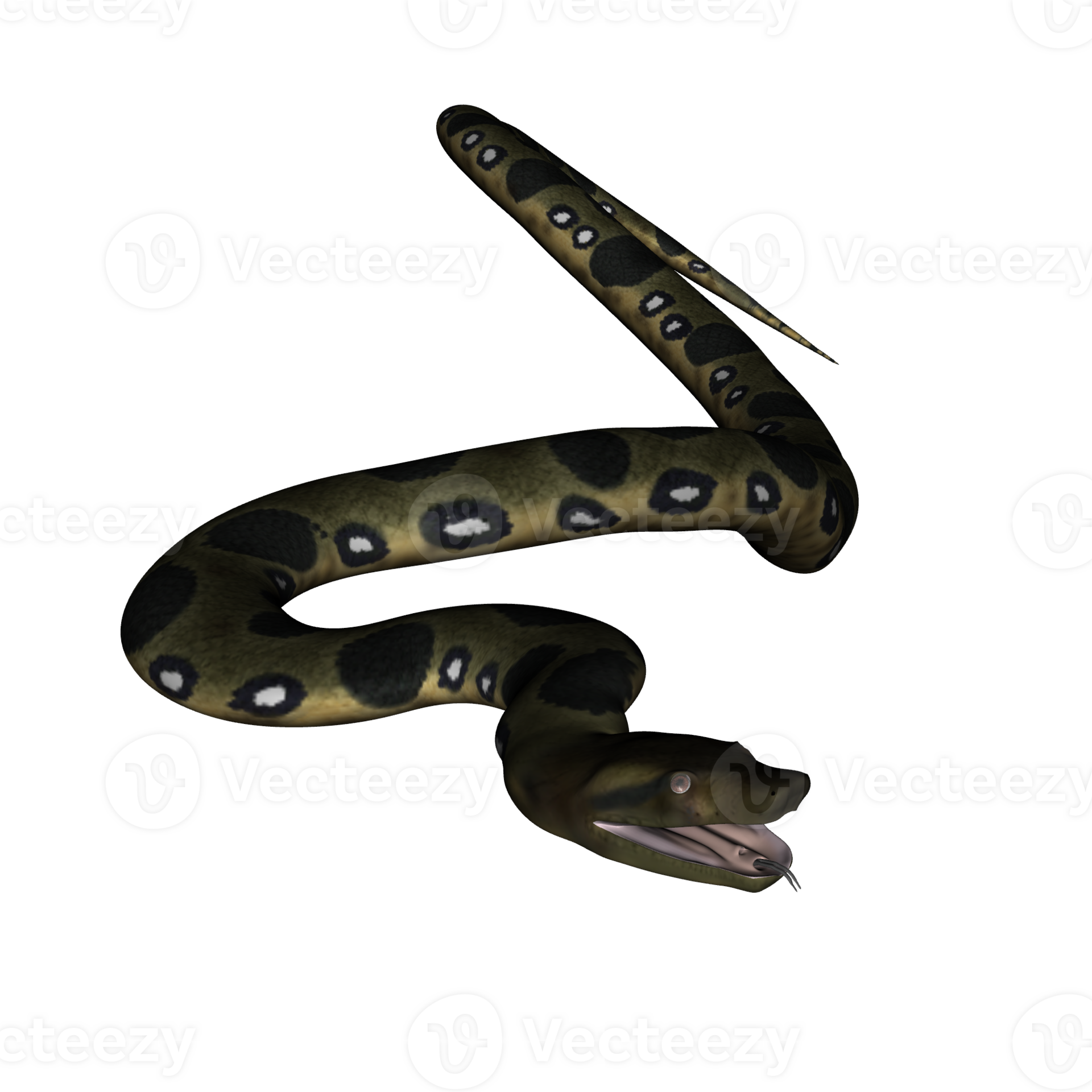 Snake isolated 3d 28292421 PNG