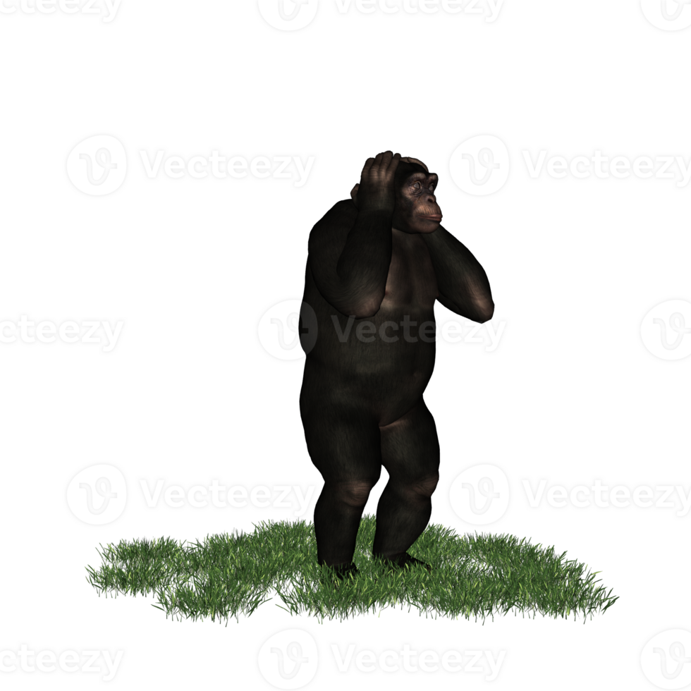 chimpanzee isolated 3d png