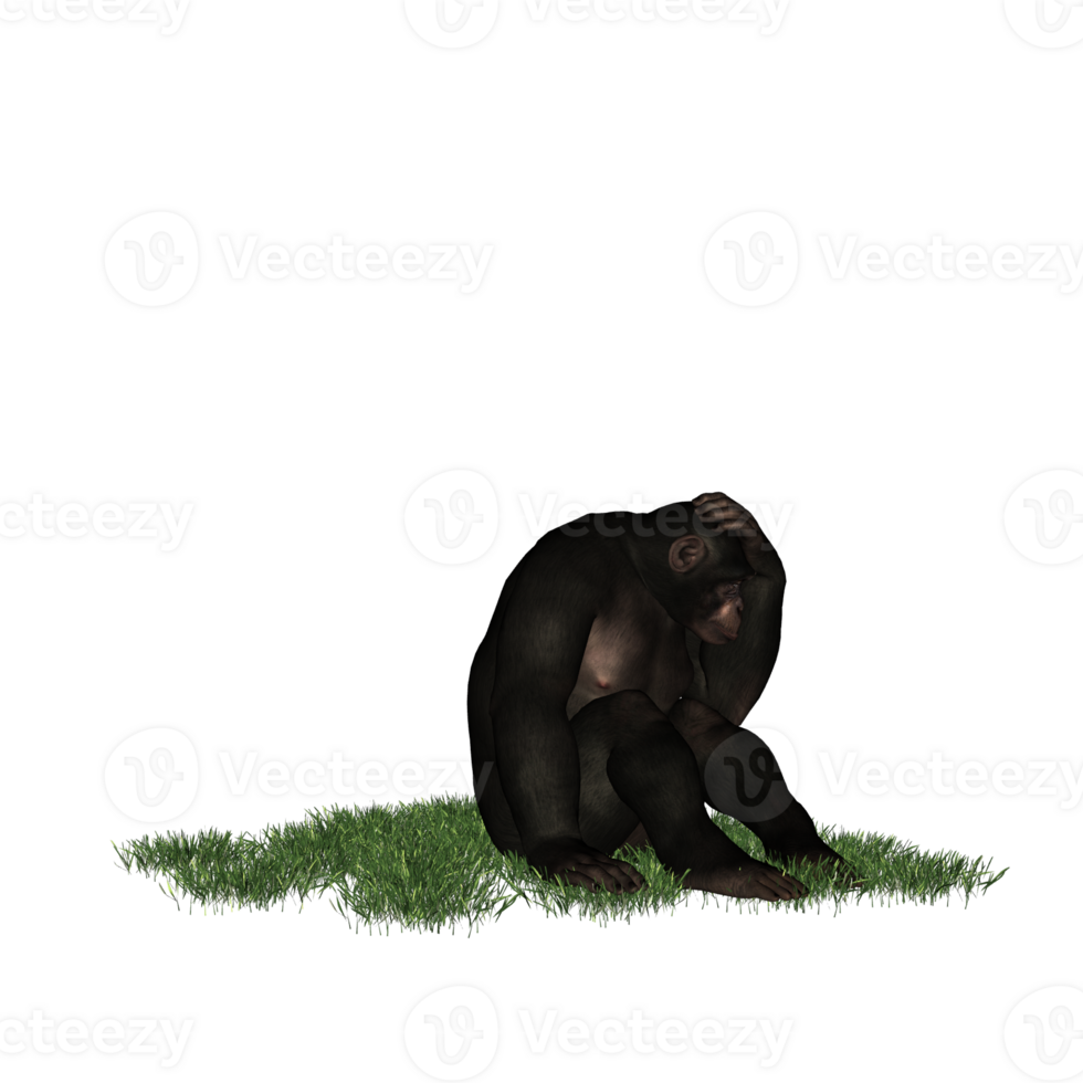 chimpanzee isolated 3d png