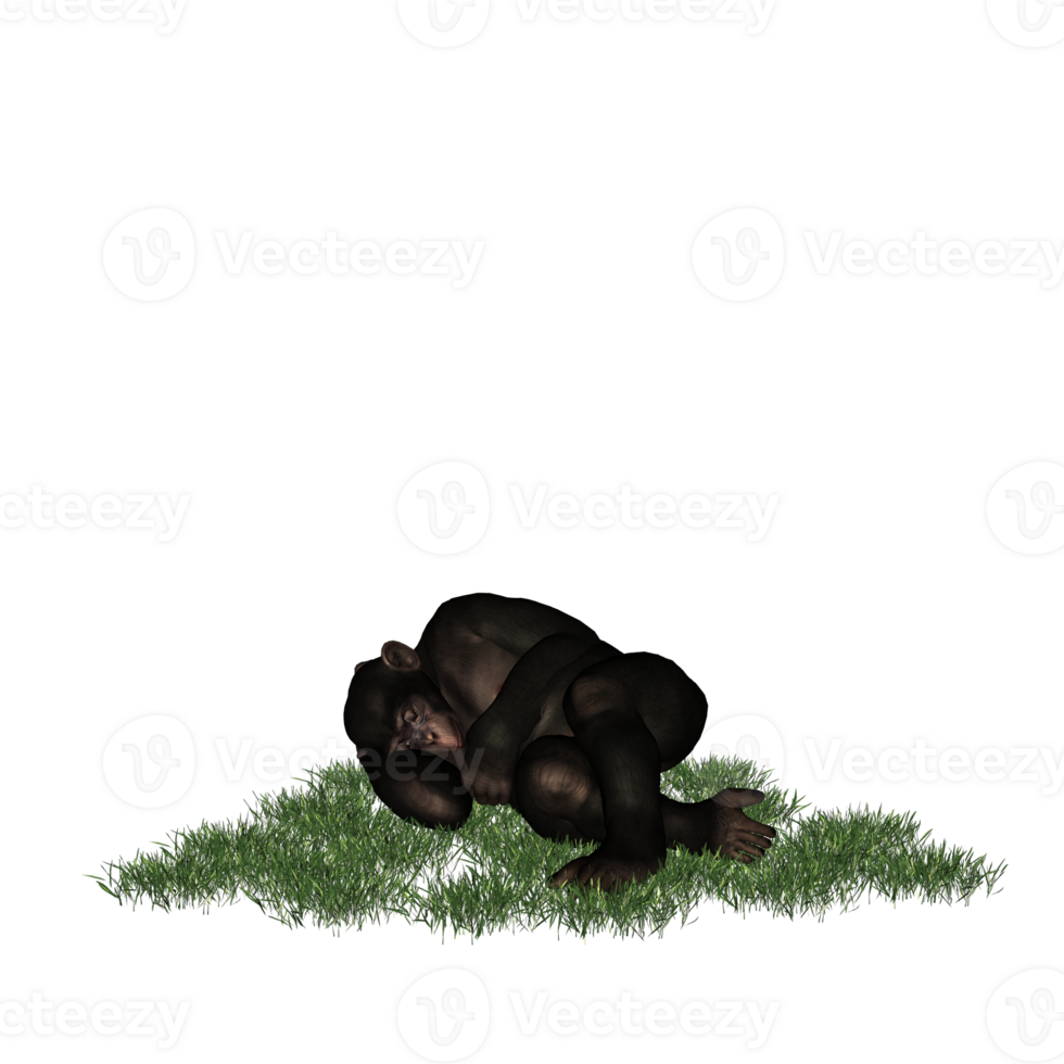 chimpanzee isolated 3d png