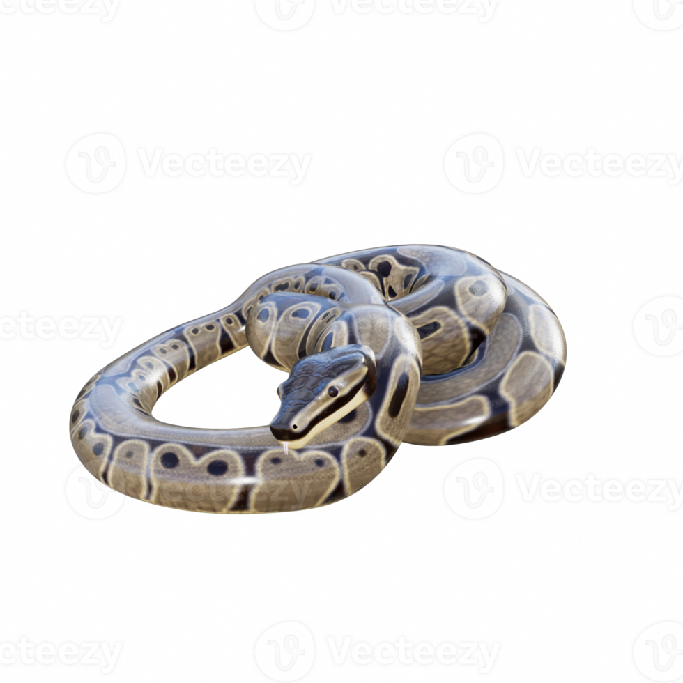 Snake isolated 3d png