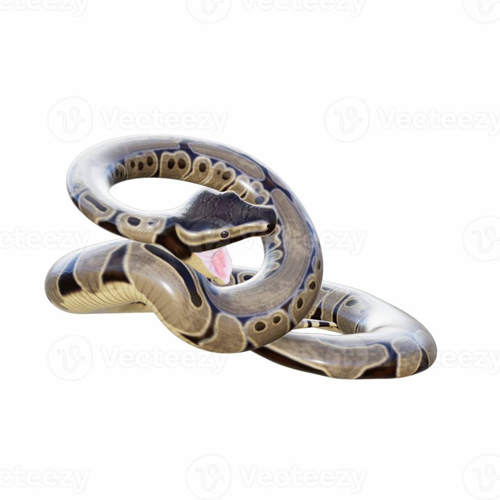 Snake isolated 3d png