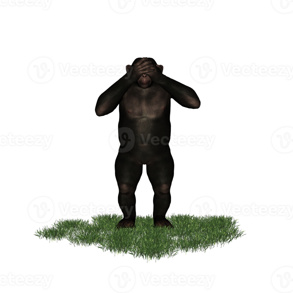 chimpanzee isolated 3d png