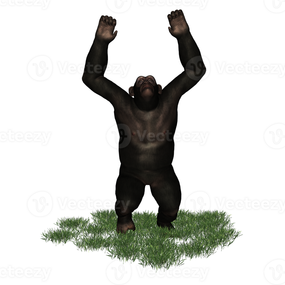 chimpanzee isolated 3d png