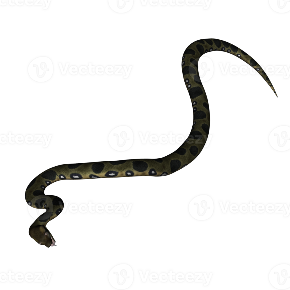 Snake isolated 3d png