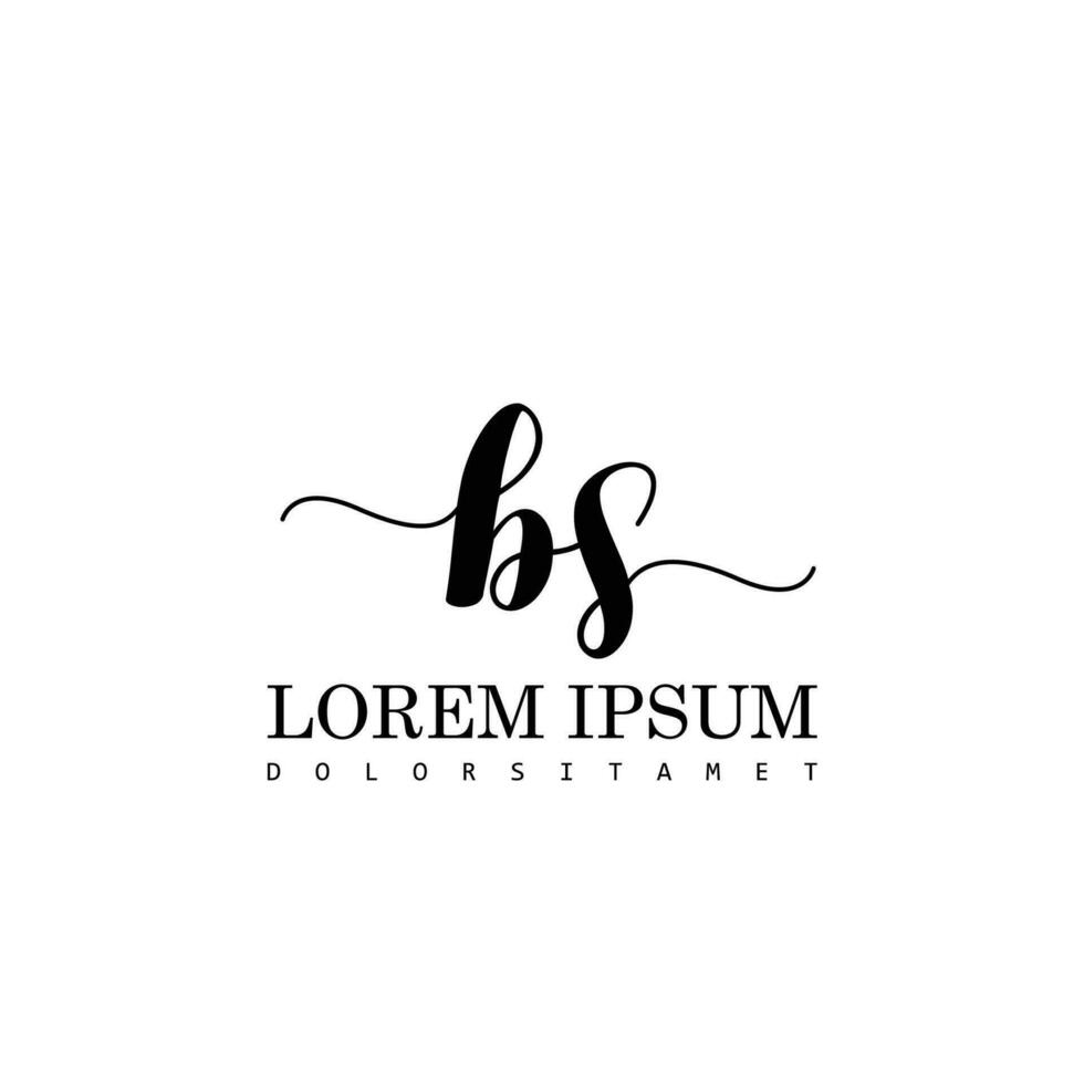 BS Initial Handwriting Template Design vector