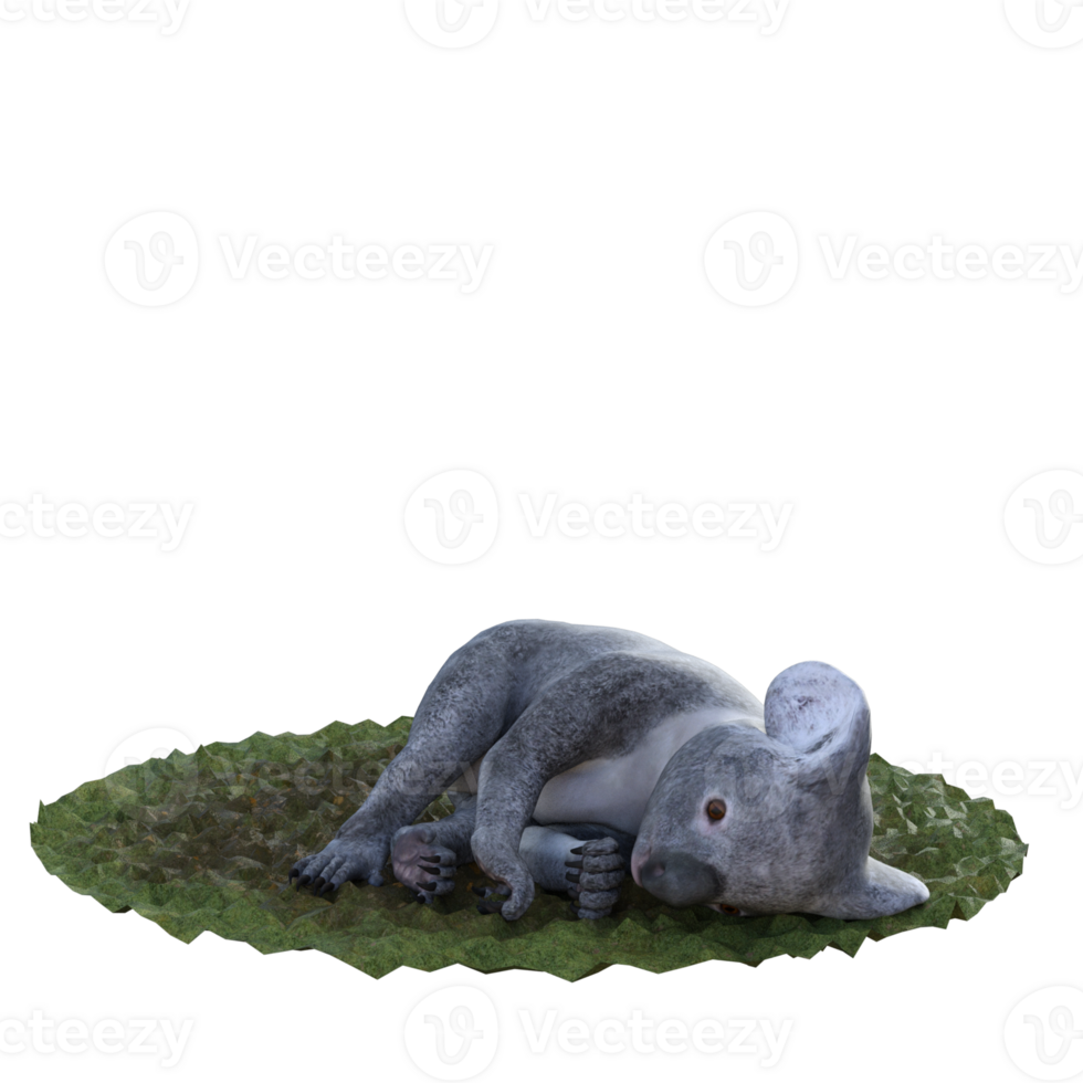 Koala isolated 3d png