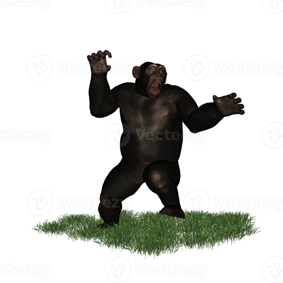 chimpanzee isolated 3d png