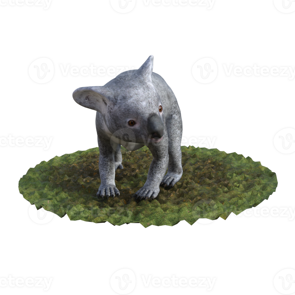 Koala isolated 3d png