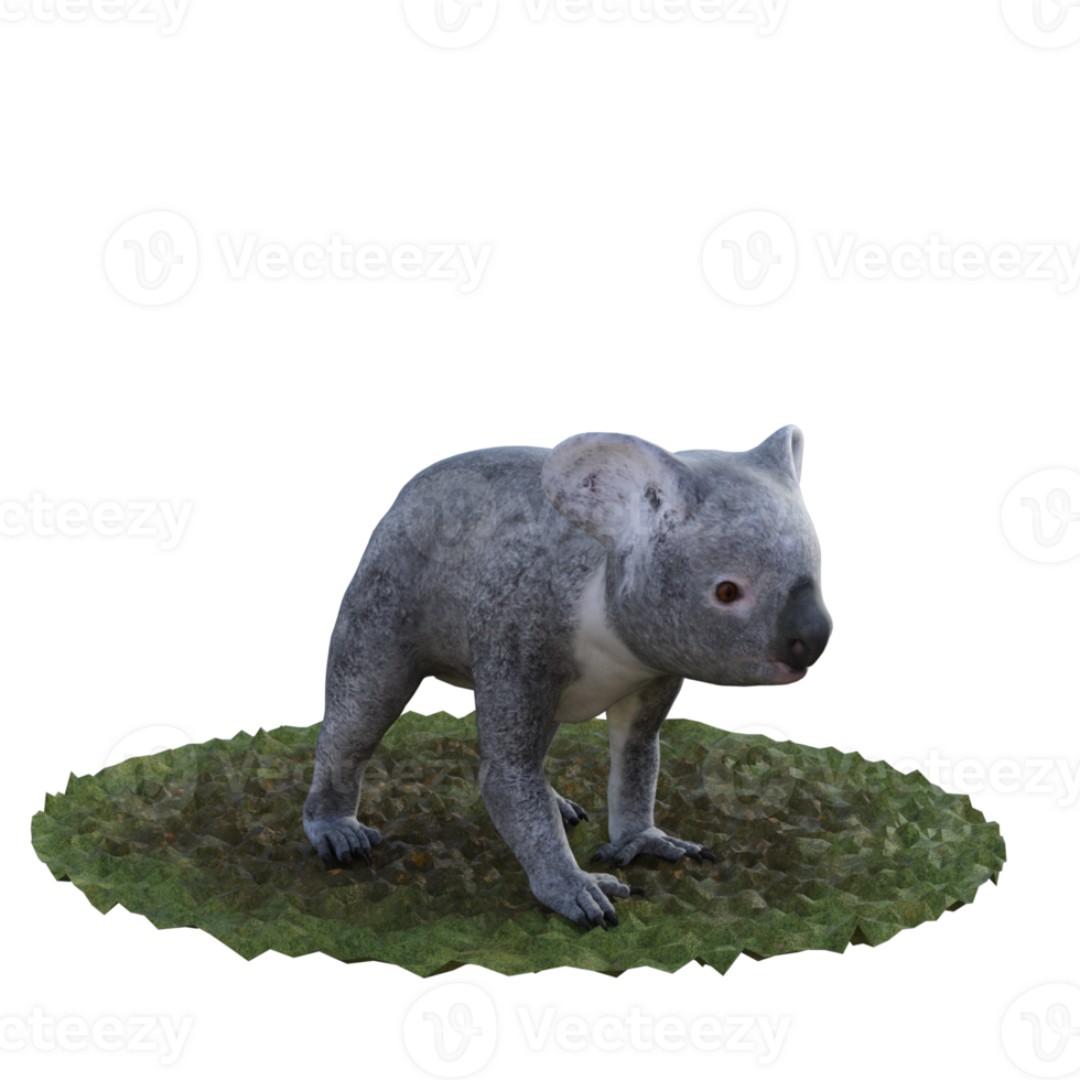Koala isolated 3d png