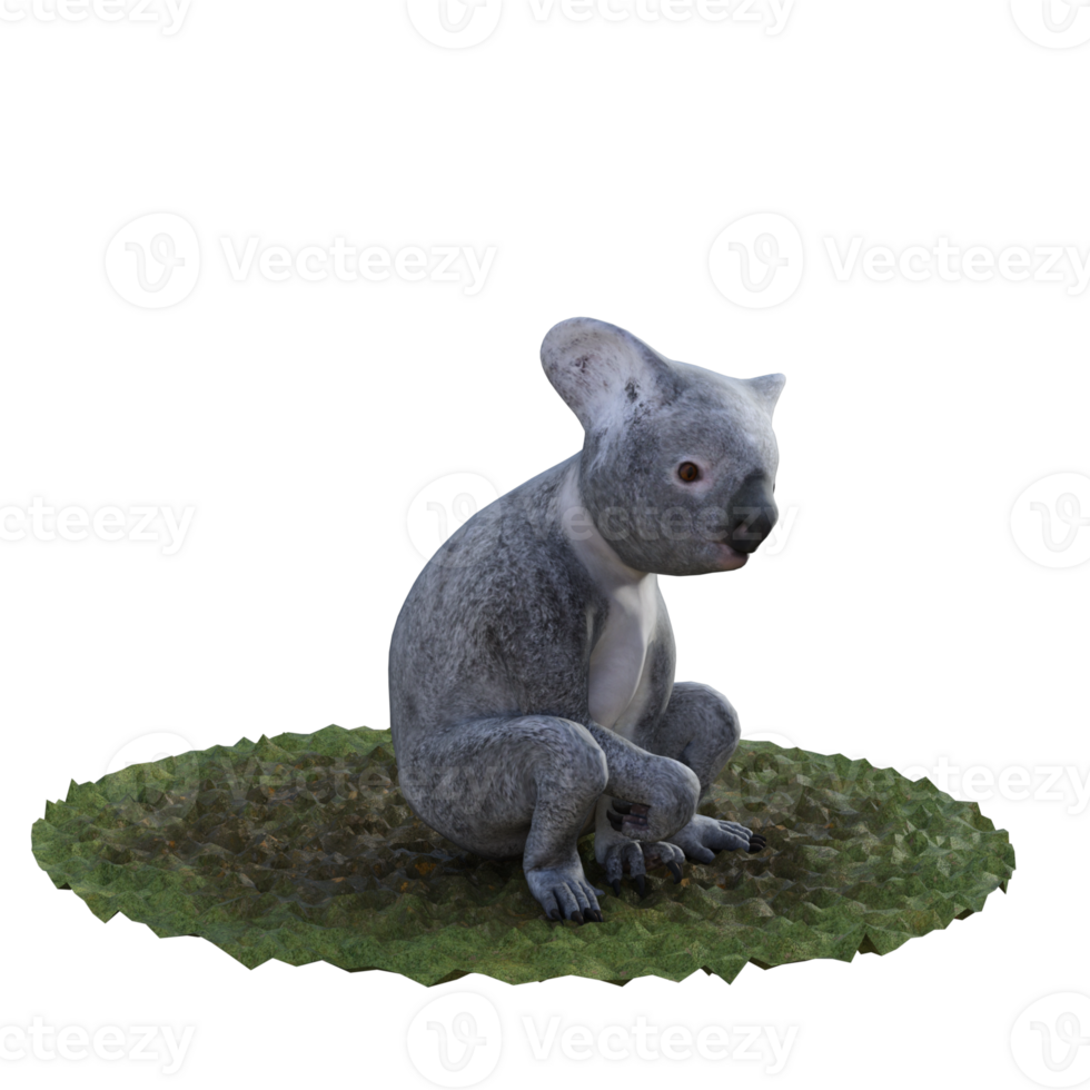 Koala isolated 3d png