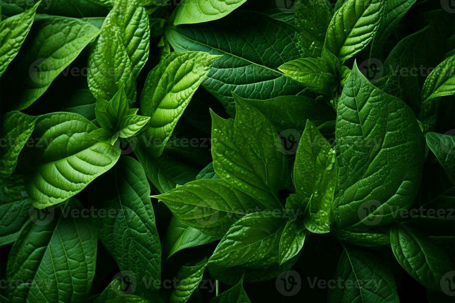 Lush greenery, detailed leaf texture, captivating nature backdrop AI Generated photo