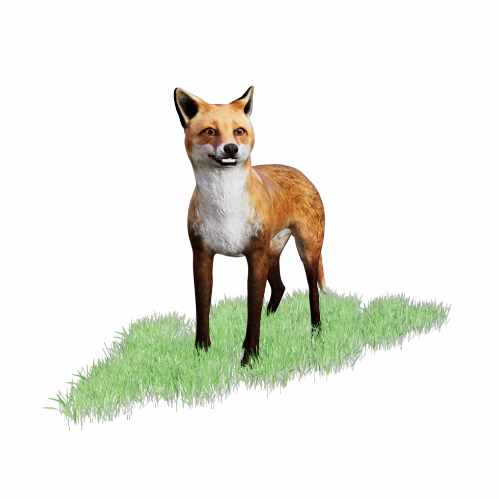 Fox animal 3d png