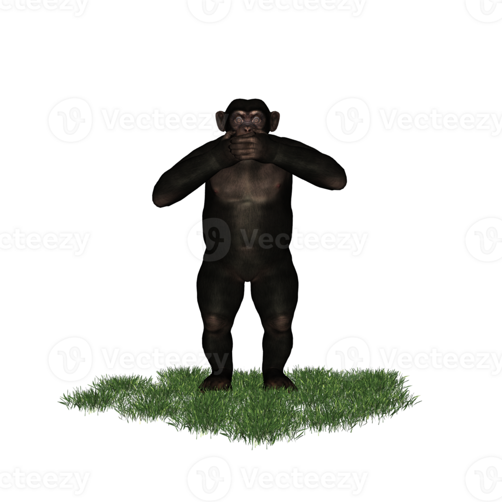 chimpanzee isolated 3d png