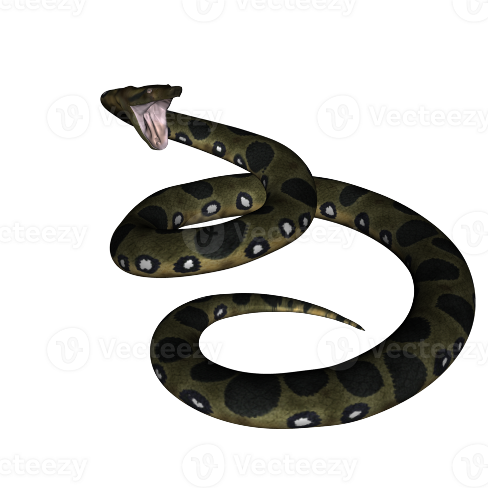 snake python isolated 3d 24485905 PNG