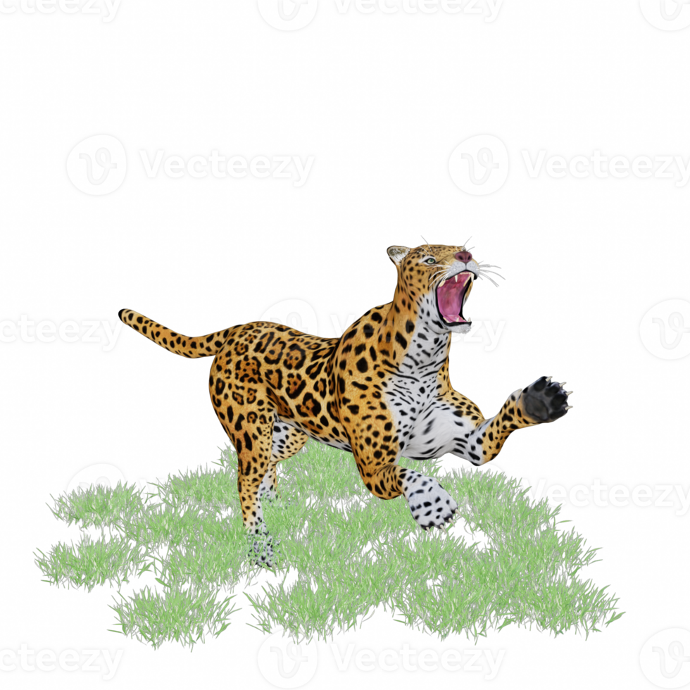 panthera onca isolated 3d png