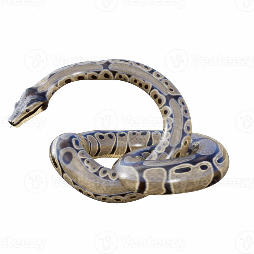 Snake isolated 3d png