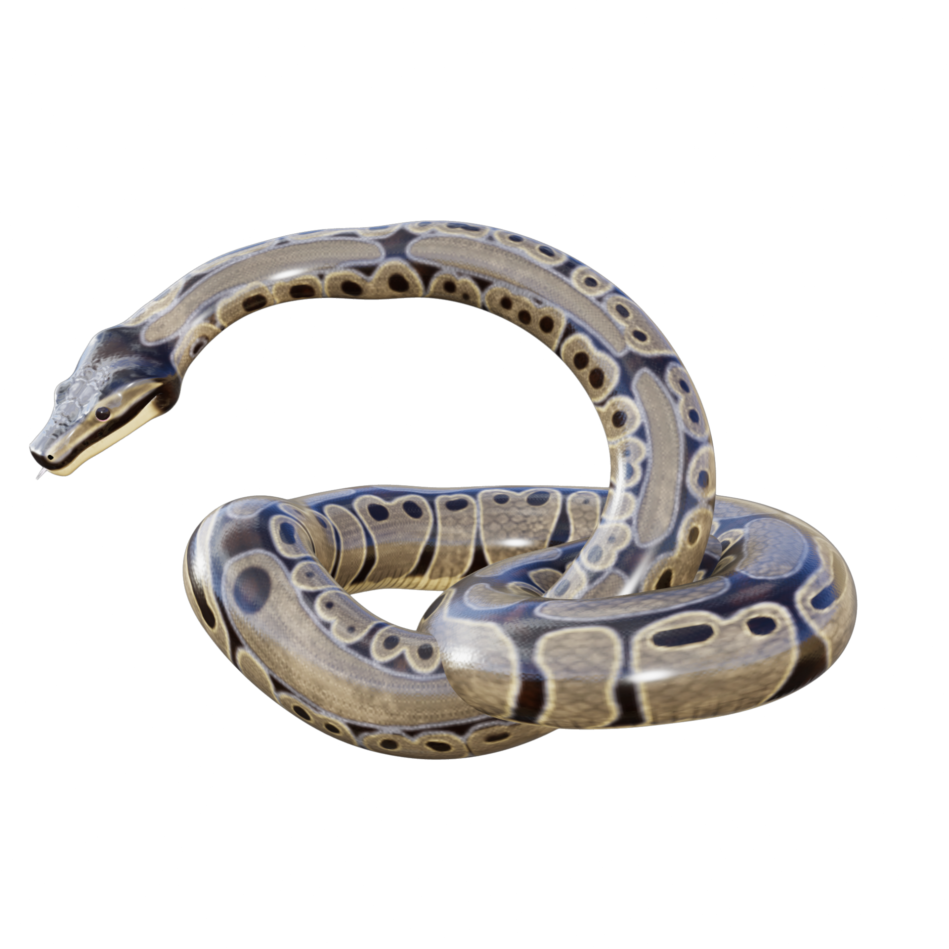 Snake isolated 3d 28292816 PNG