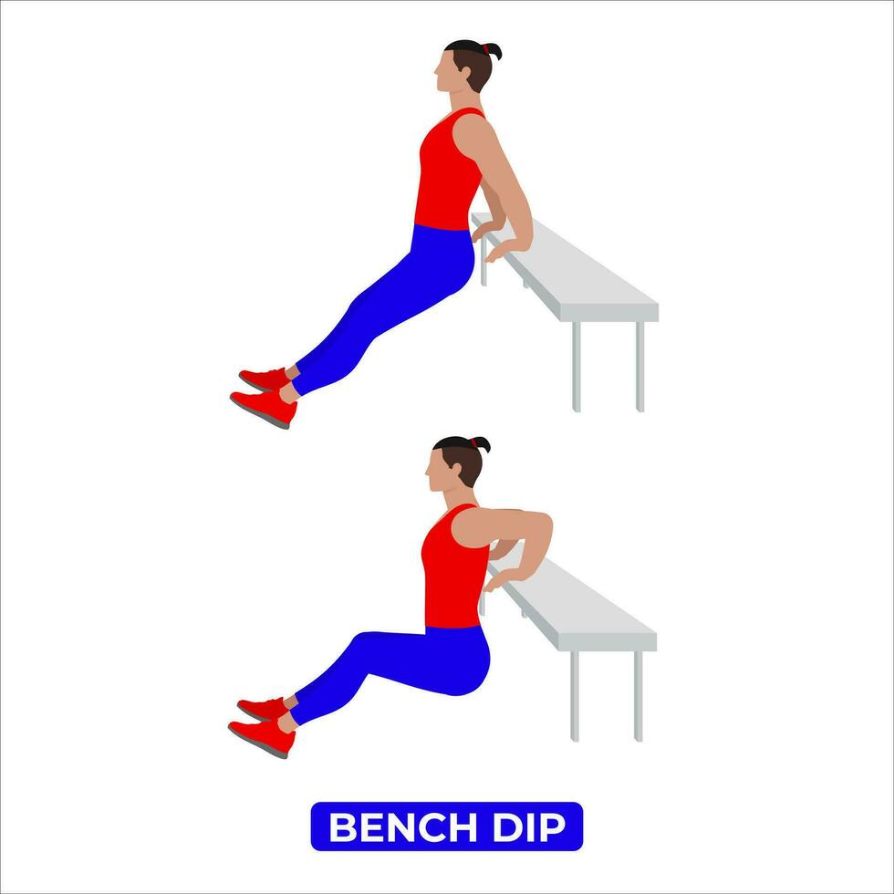 Vector Man Doing Triceps Bench Dip . Bodyweight Fitness Arms Workout Exercise. An Educational Illustration On A White Background.