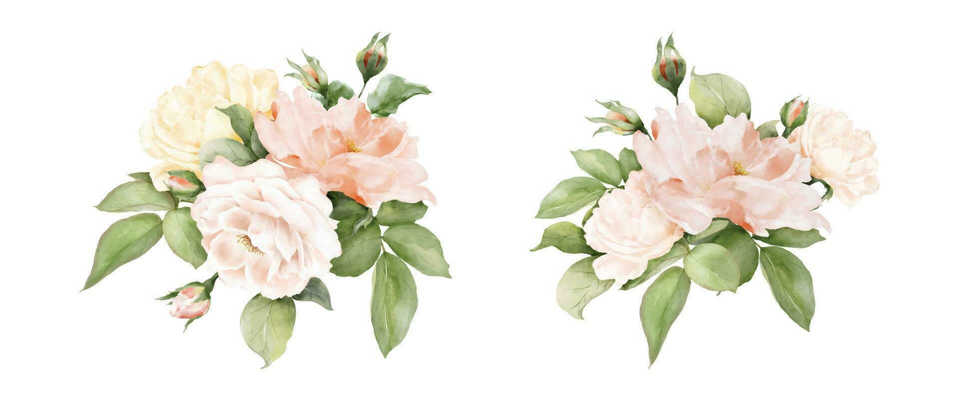Set of rose flower decorative watercolor vector