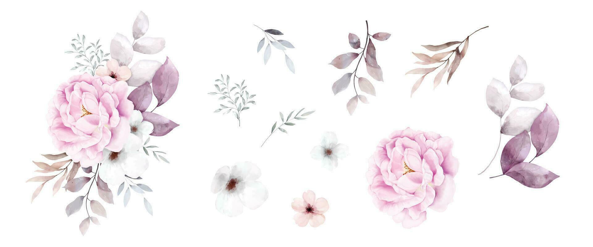 conjunto de rosado ramo de flores acuarela elementos aislado en blanco antecedentes vector