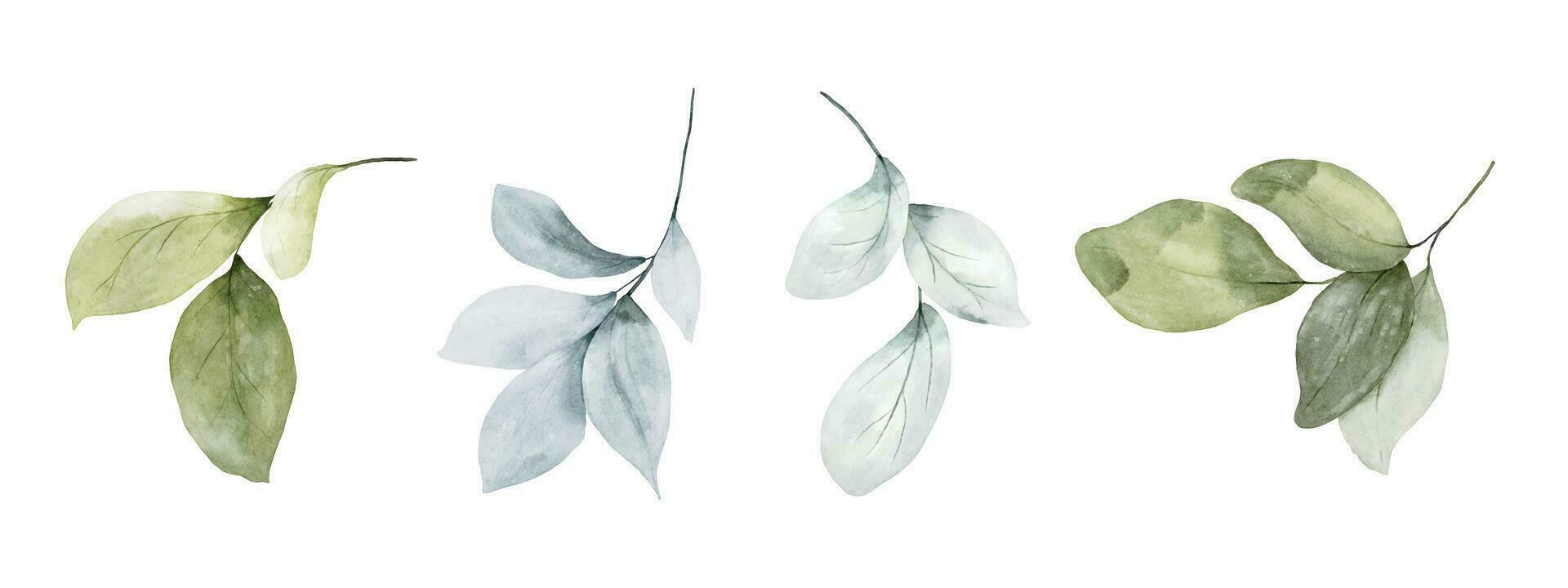 Set of watercolor botanical leaves elements vector