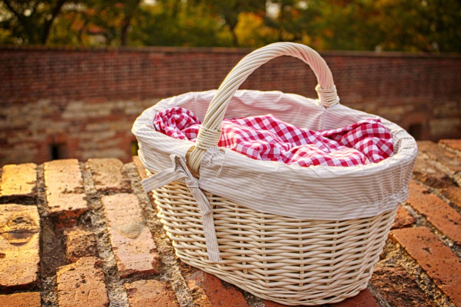 Classic Style Clean Basket Bag Straw free image photo