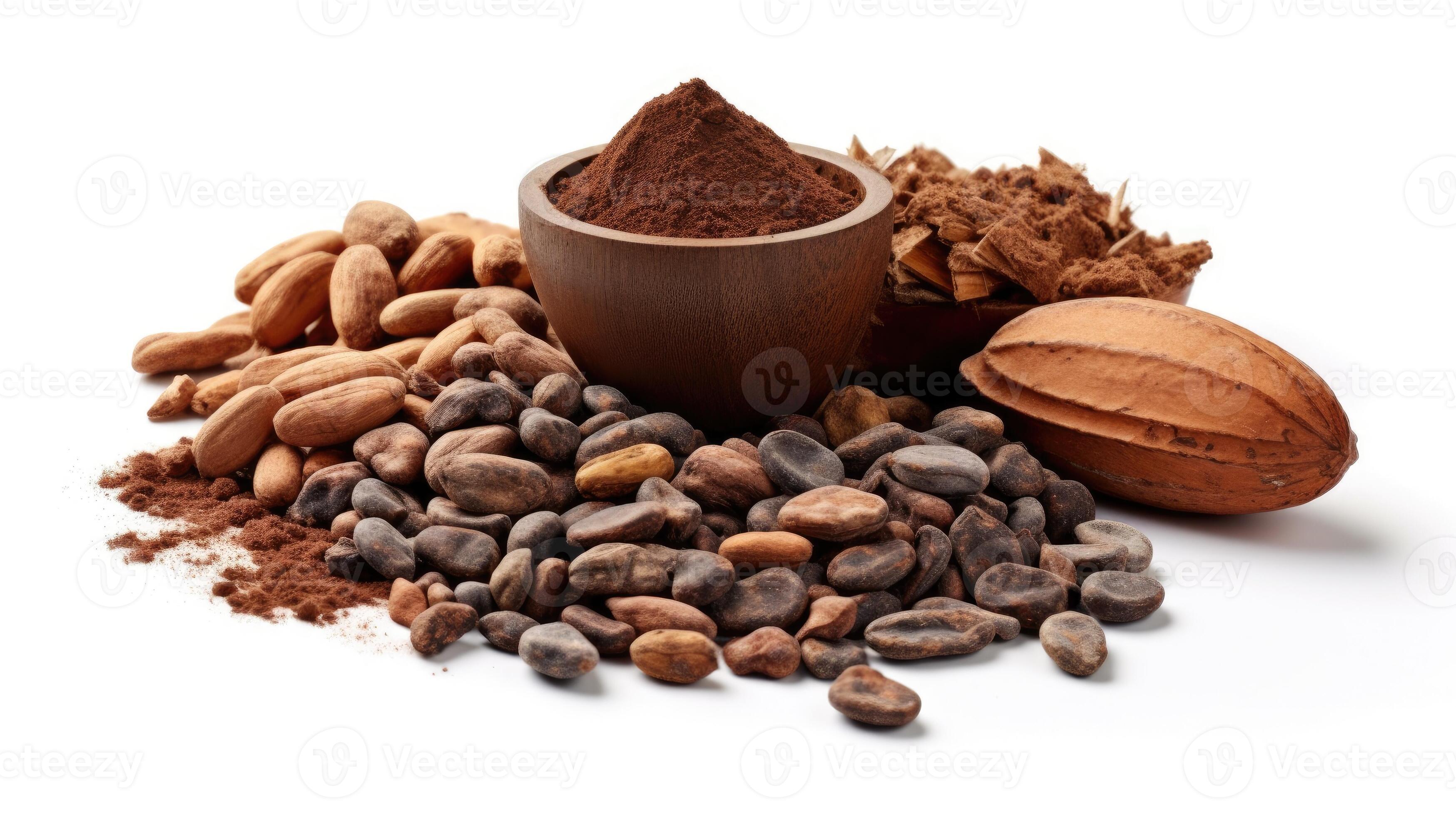 Cocoa ingredients with cocoa beans, fresh cocoa pod and cocoa mass