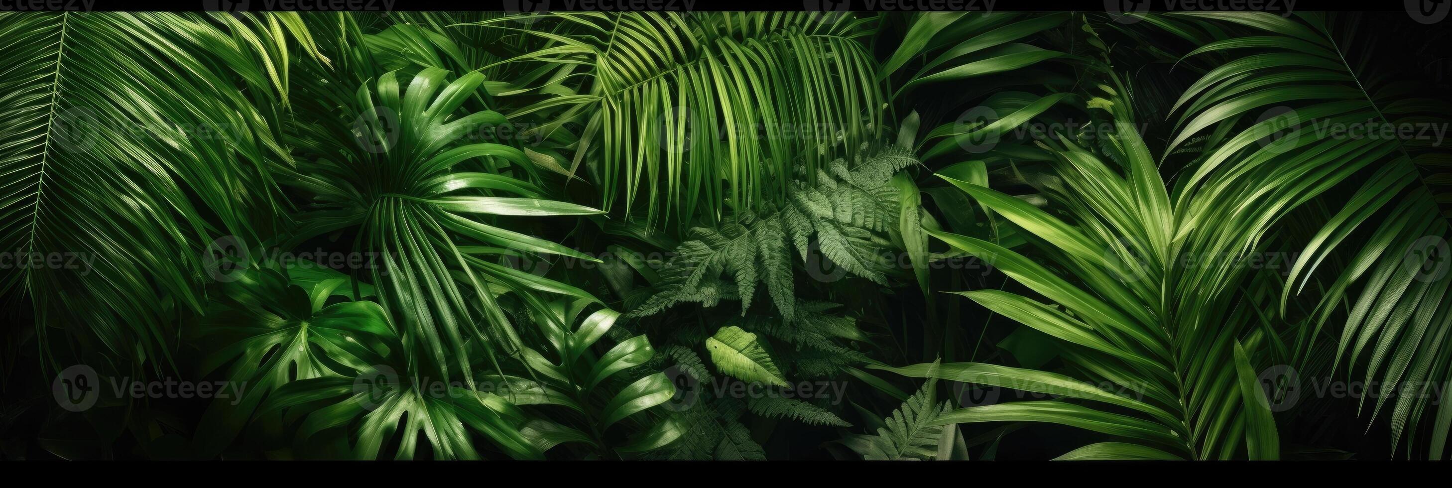 Green leaves, Group background of dark green tropical leaves background