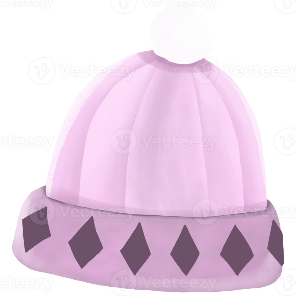 The purple hat. png