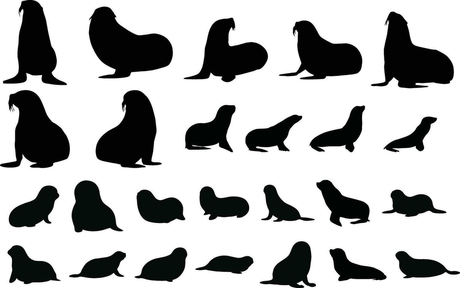 Collection of sealion silhouettes, isolated vector on white background