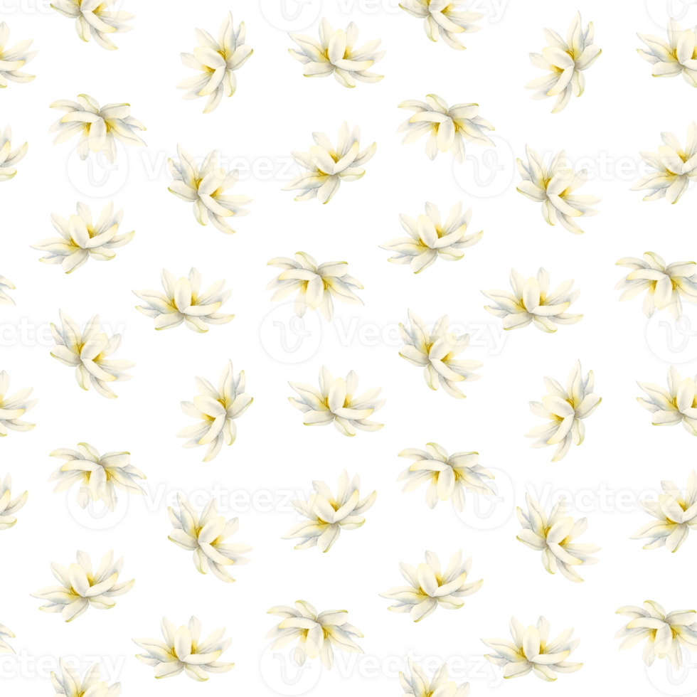 Lotus flower watercolor seamless pattern for yoga centers and logos, natural cosmetics, health care, simple designs png