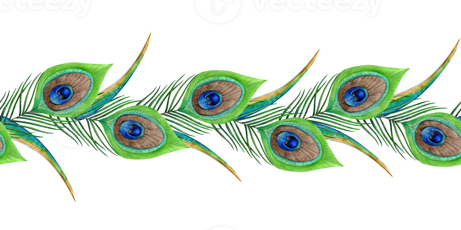Peacock feathers horizontal seamless border watercolor. Hand drawn tropical exotic bird feather in green and blue colors png