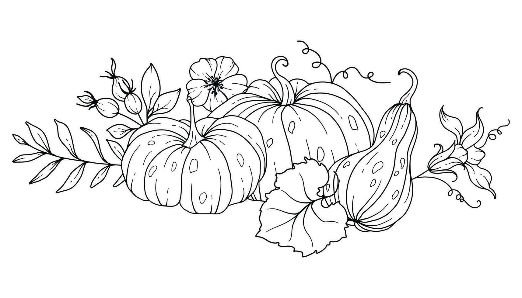 Pumpkins Line Art Illustration, Outline Pumpkin arrangement Hand Drawn Illustration. Coloring Page with Pumpkins.  Thanksgiving Pumpkins set. Thanksgiving Pumpkins set isolated on white vector