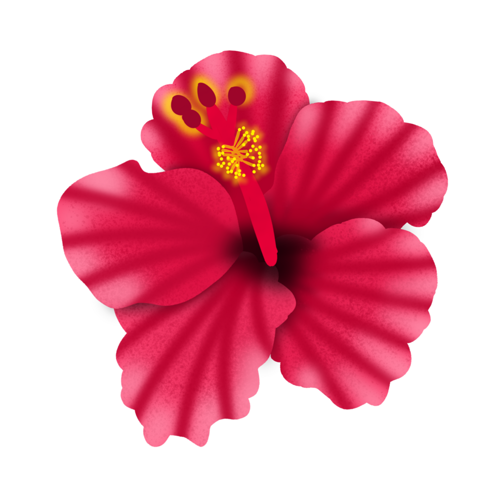 Red Flower Pods png