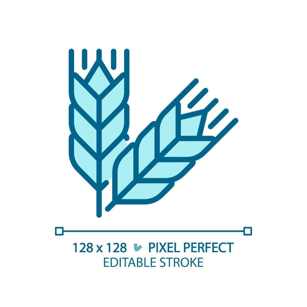 Food grains pixel perfect blue RGB color icon. Oat meal. Wheat harvesting. Cereal crops. Agricultural commodity. Isolated vector illustration. Simple filled line drawing. Editable stroke