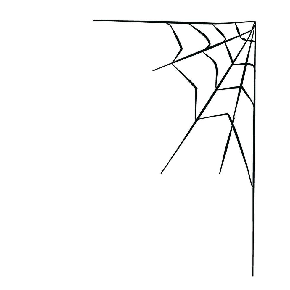 freehand drawing spider web doodle vector illustration