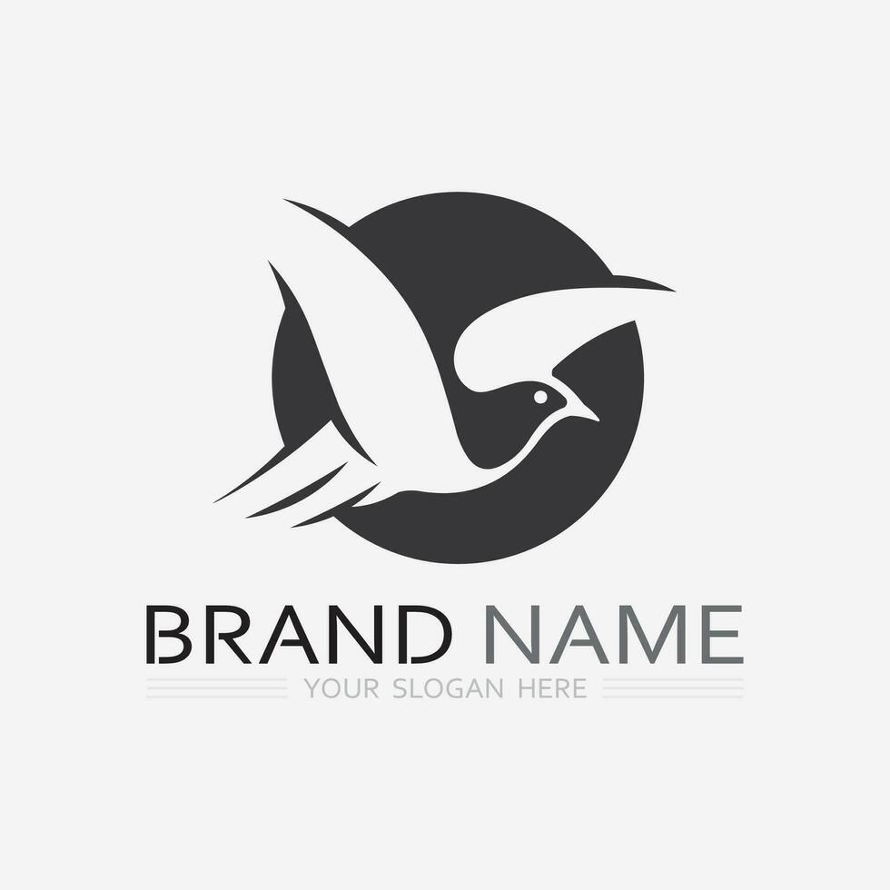 bird logo vector icon design template