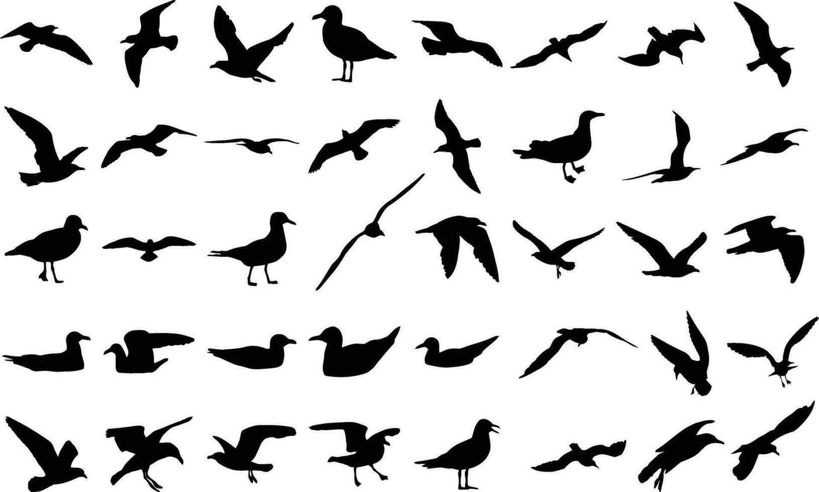 Collection of sealion silhouettes, isolated vector on white background