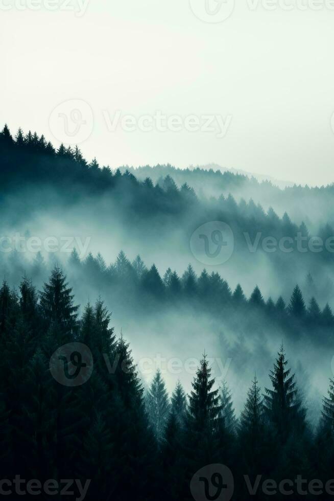 A serene mist-engulfed forest in November background with empty space for text photo