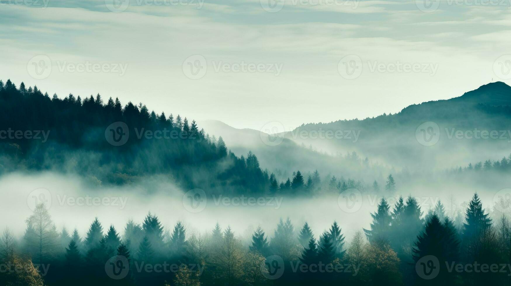 A serene mist-engulfed forest in November background with empty space for text photo