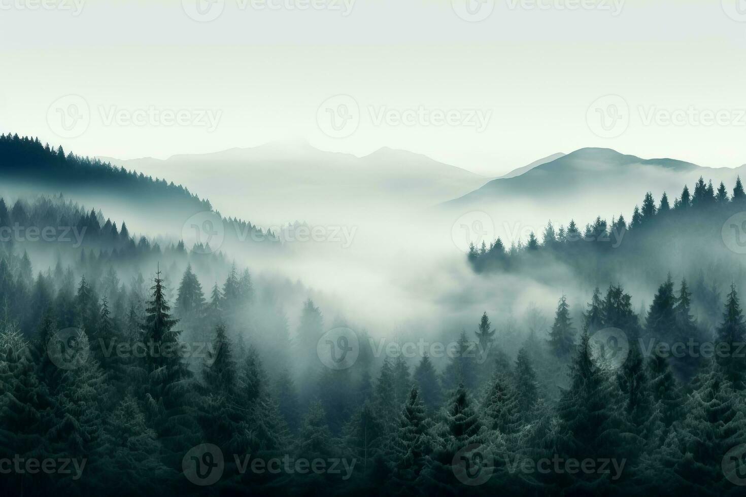 A serene mist-engulfed forest in November background with empty space for text photo