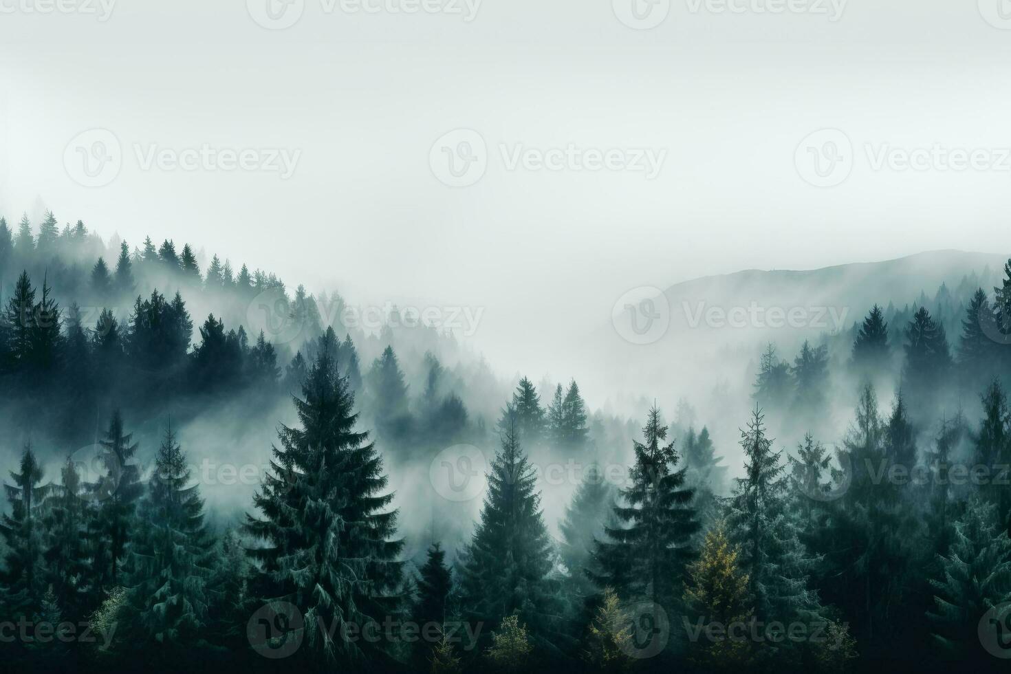 A serene mist-engulfed forest in November background with empty space for text photo