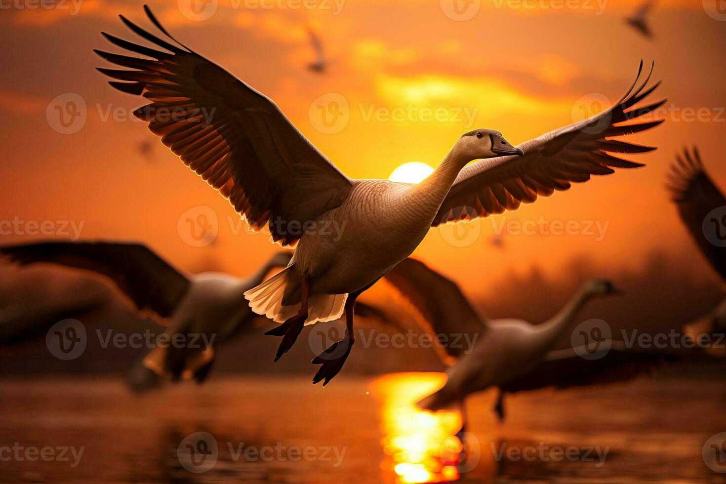 A majestic flock of geese gracefully soars through a golden sky during their annual autumn migration photo