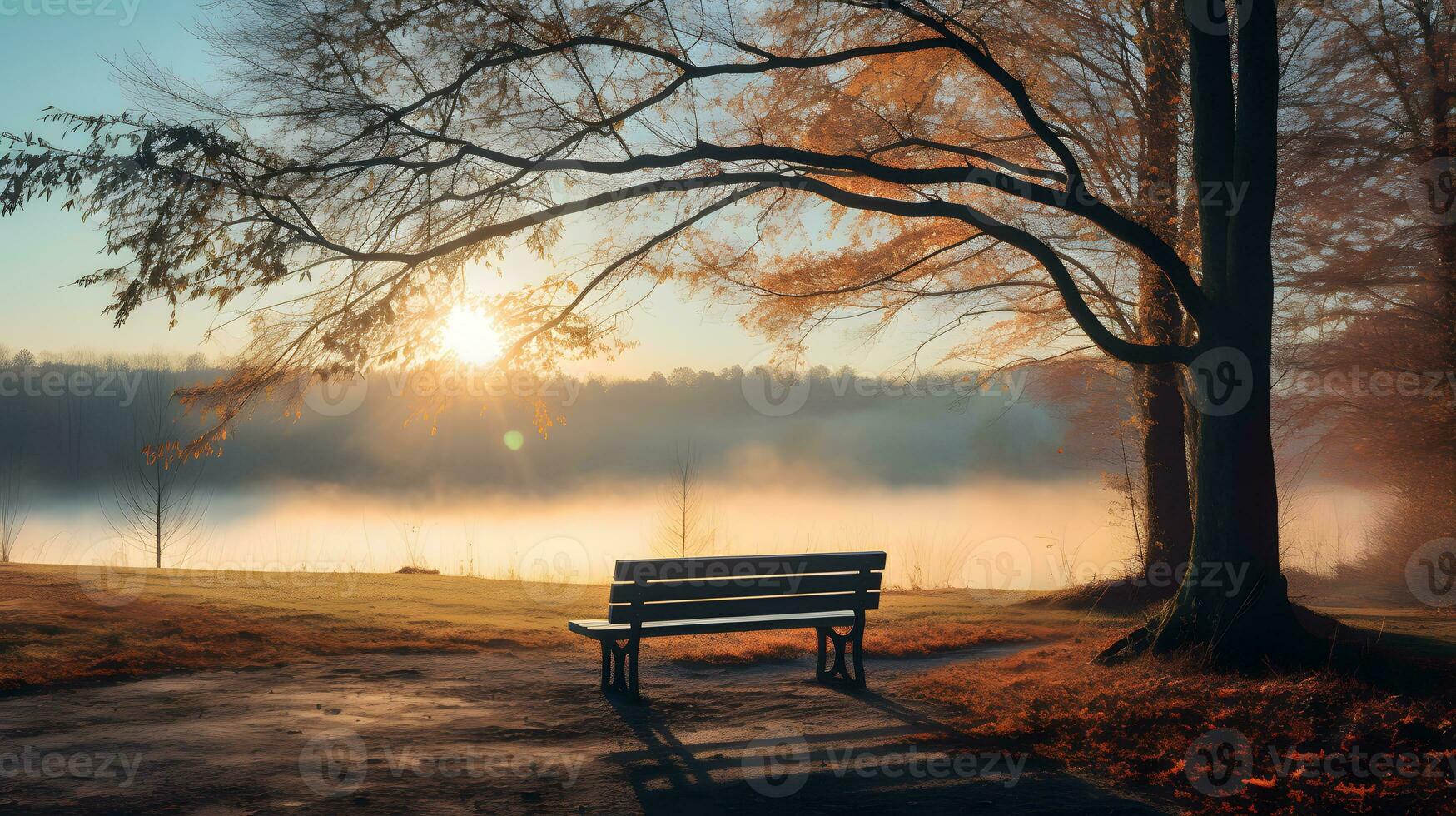 Bench in the park in the mist at sunrise landscape photo
