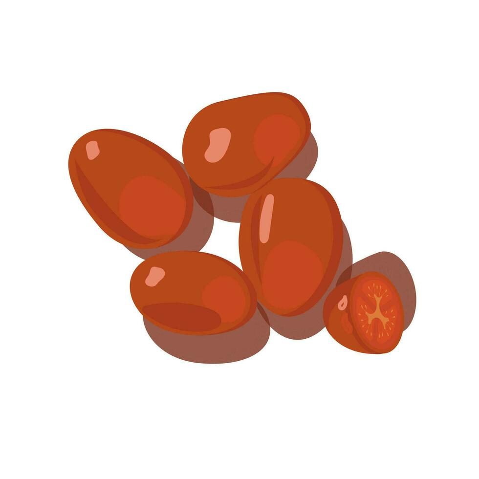 Tomatoes drawn in vector, sliced tomatoes and cherry tomatoes. vector