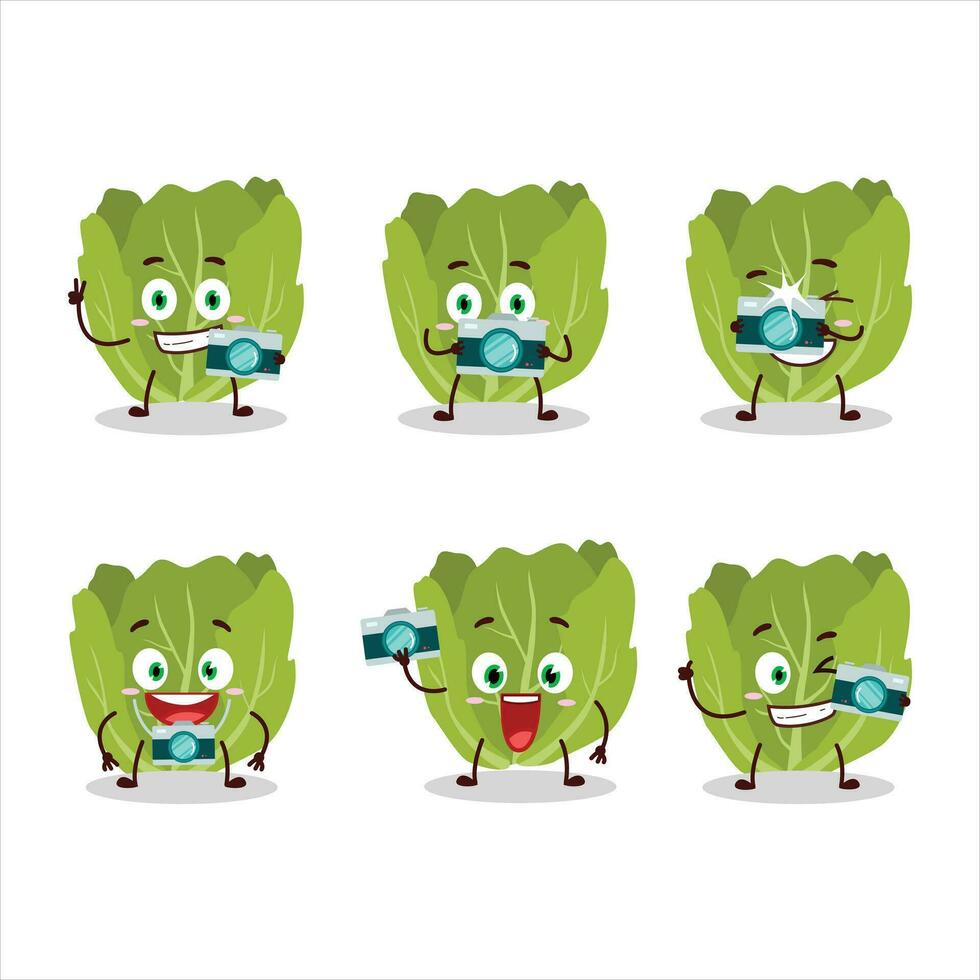 Photographer profession emoticon with romain letuce cartoon character vector