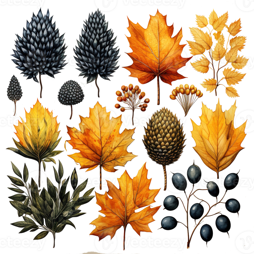 Set of watercolor autumn fall orange flowers and green leaves elements, isolated objects on a transparent background, Ai generative png