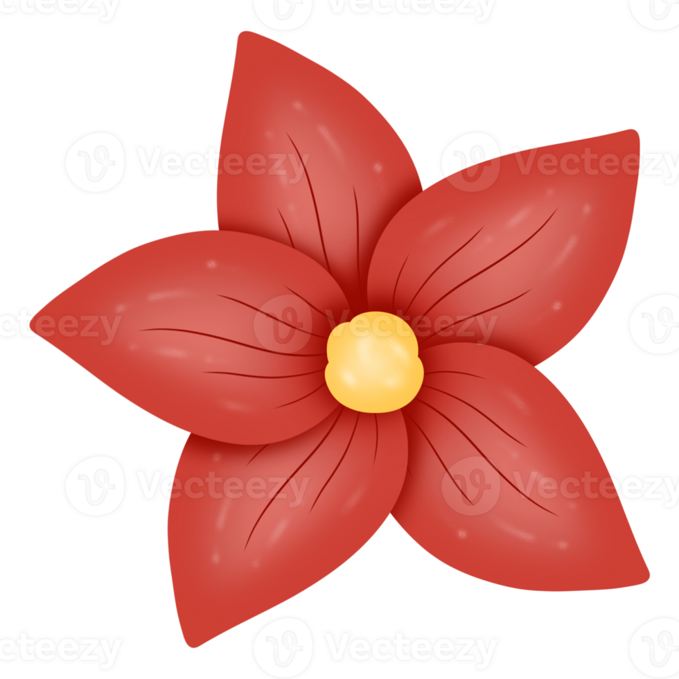 poinsettia-christmas-star-28324623-png