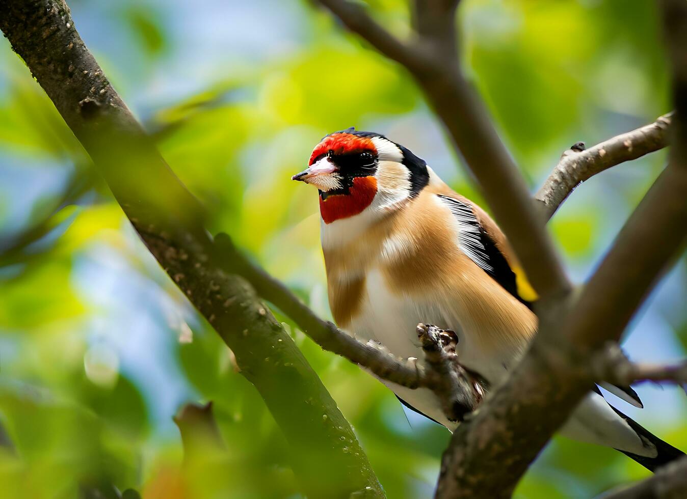 pájaro en un árbol natural diseño foto